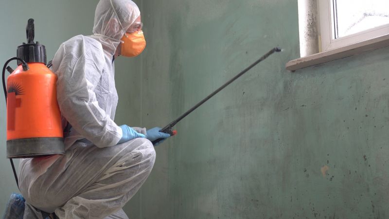 Accessibility of Mold Areas