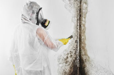 Drywall and Insulation Removal