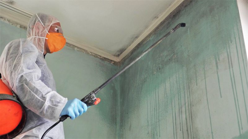 Air Duct Mold Removal in Fort Worth, TX