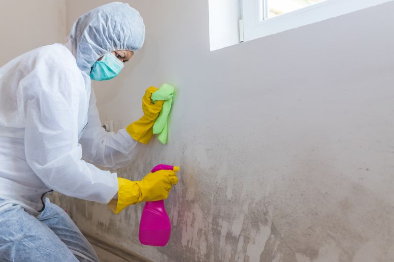 Air Duct Mold Removal in Essex County, NJ