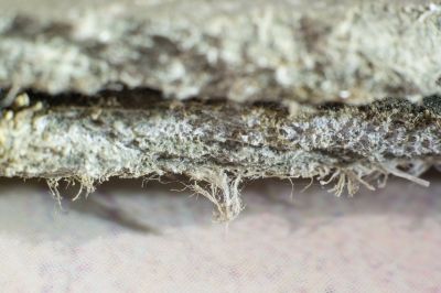 Asbestos Service in Old Bridge, NJ