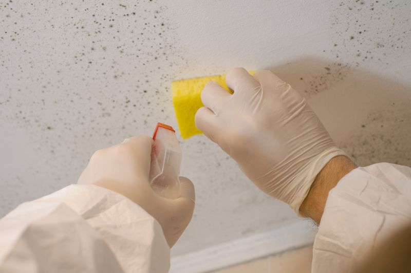 Attic Mold Remediation in Frisco, TX