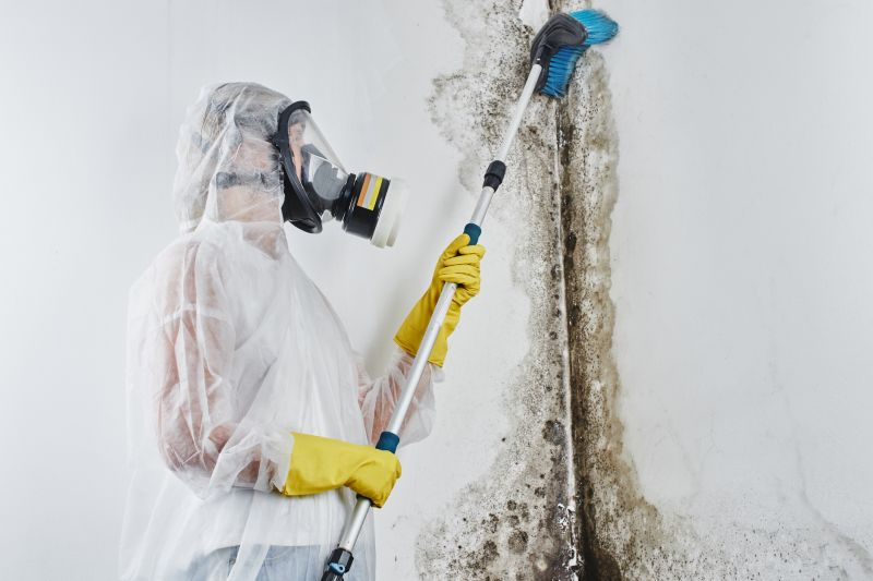 Attic Mold Removal in Jupiter, FL