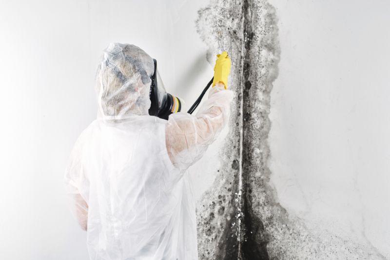 Basement Mold Removal in Bergen County, NJ