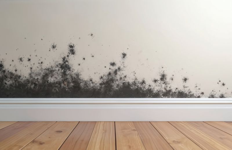 Basement Mold Removal in Essex County, NJ