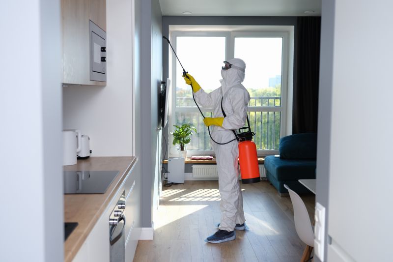 Basement Mold Removal in Fort Lauderdale, FL