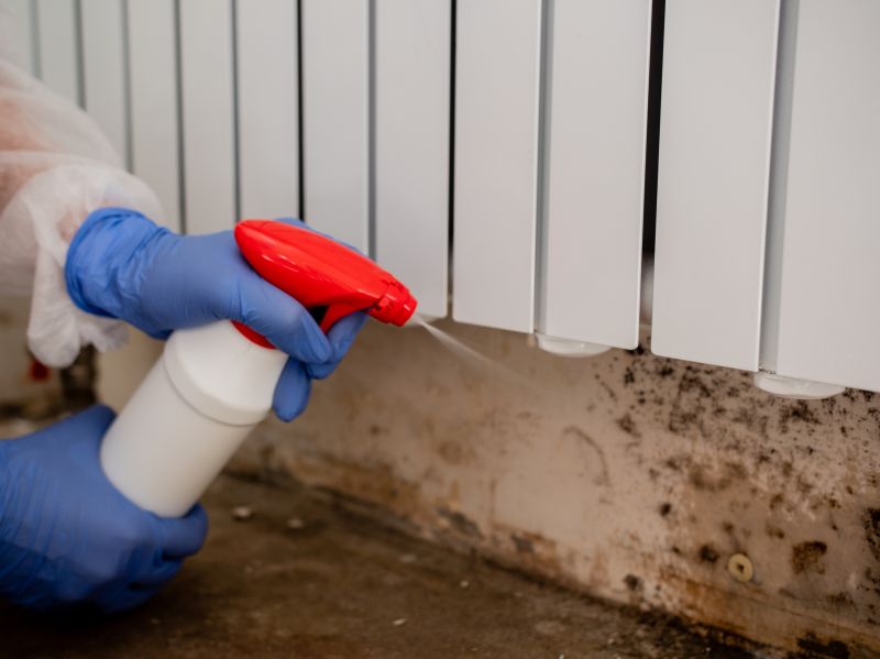 Basement Mold Removal in West Palm Beach, FL