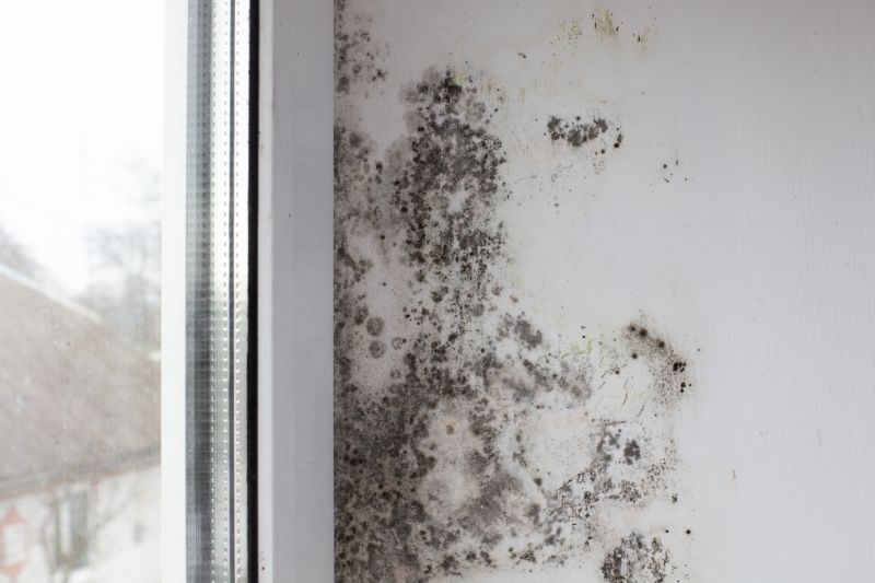 Black Mold Remediation in Jupiter, FL
