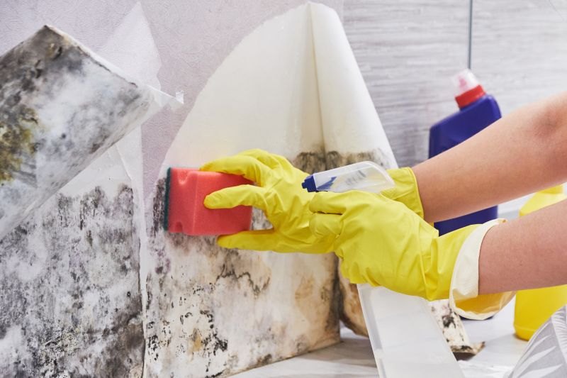 Crawl Space Mold Removal in Frisco, TX