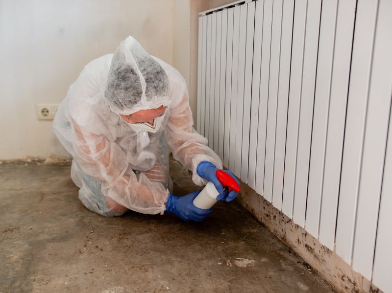 Crawlspace Mold Remediation in Bergen County, NJ