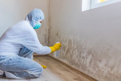 Crawlspace Mold Remediation in Dallas, TX