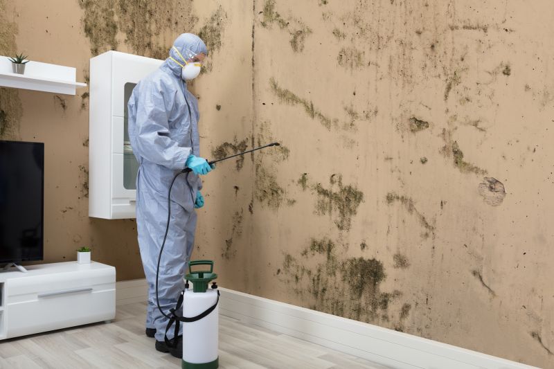 Mold Detection in Dallas, TX
