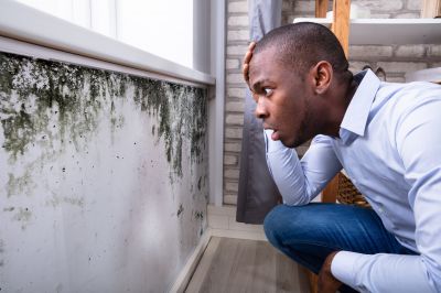 Mold Inspection And Removal in Weatherford, TX