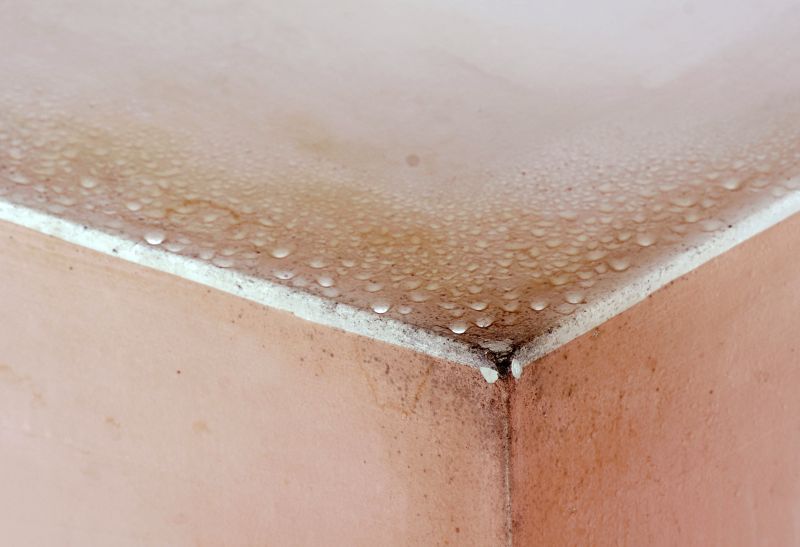 Mold Mitigation Service in Essex County, NJ