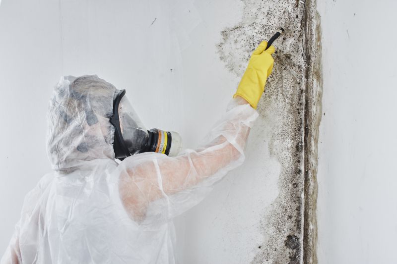 Mold Removal Process