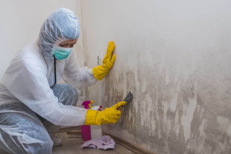 Mold Remediation in Action