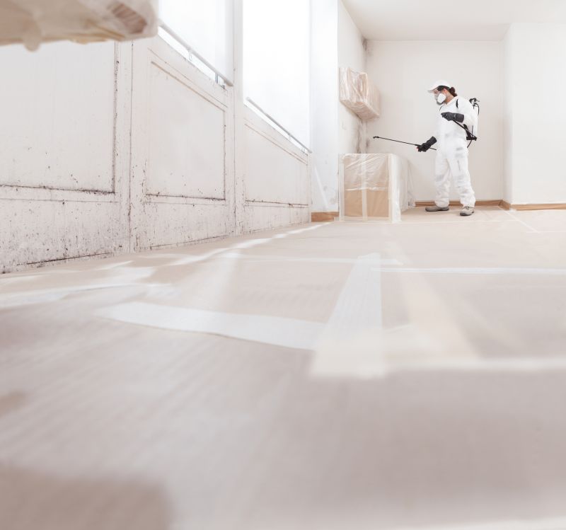 Mold Removal in Boca Raton, FL