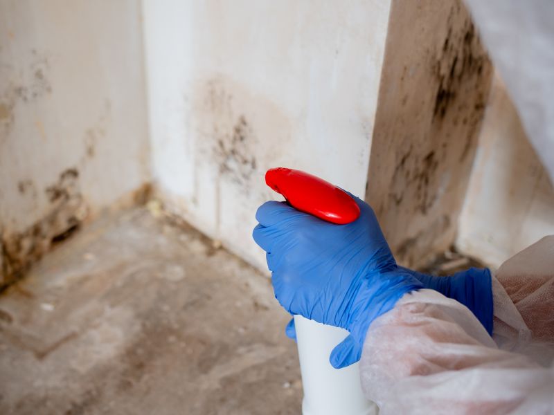 Mold Restoration in Bergen County, NJ