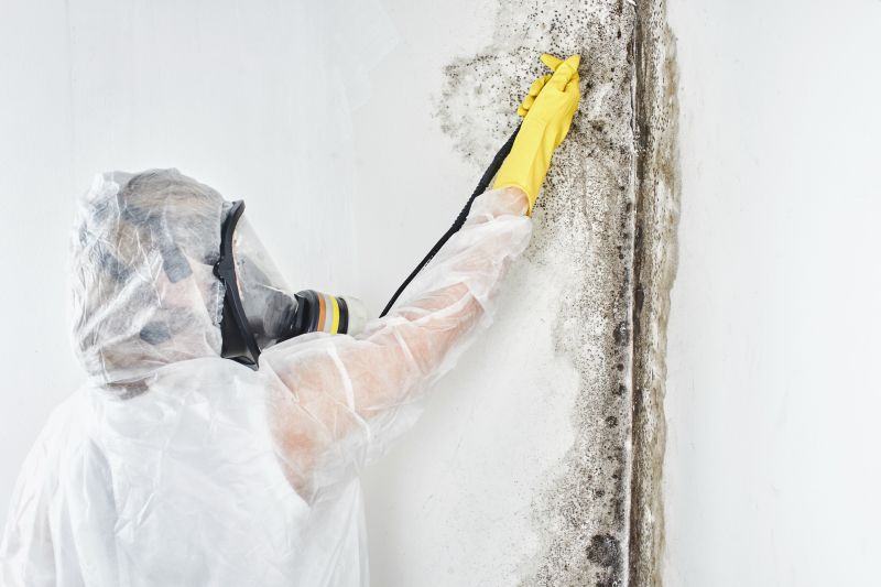 Mold Remediation Specialists