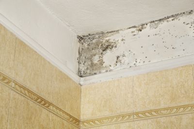 Prevent Structural Damage!