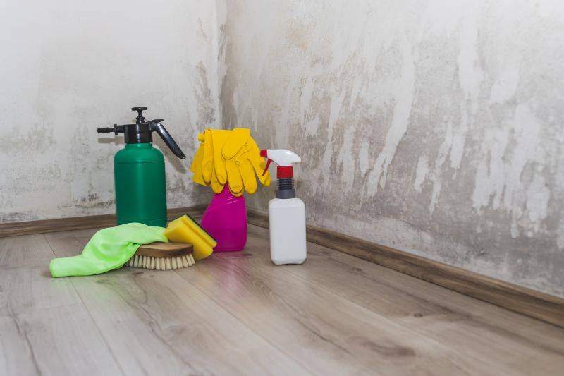 Air Duct Mold Removal in Boca Raton, FL