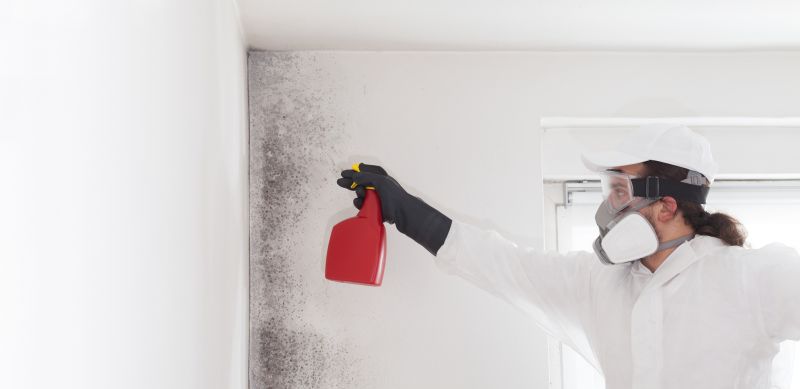 Attic Mold Remediation in Jupiter, FL