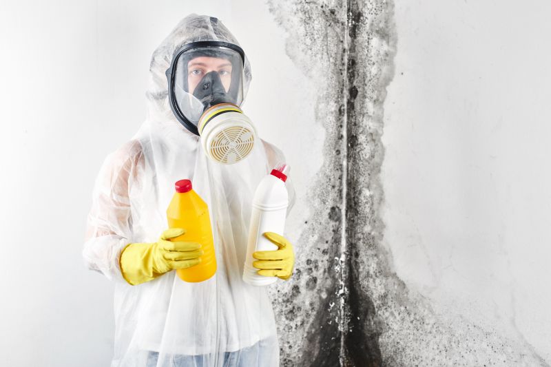 Mold Cleanup Service in Frisco, TX