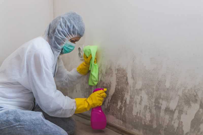 Mold Removal in Fort Lauderdale, FL